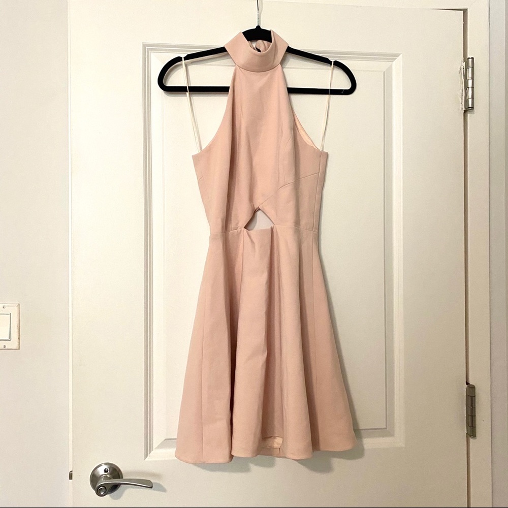 Jay Godfrey Halter Blush Dress